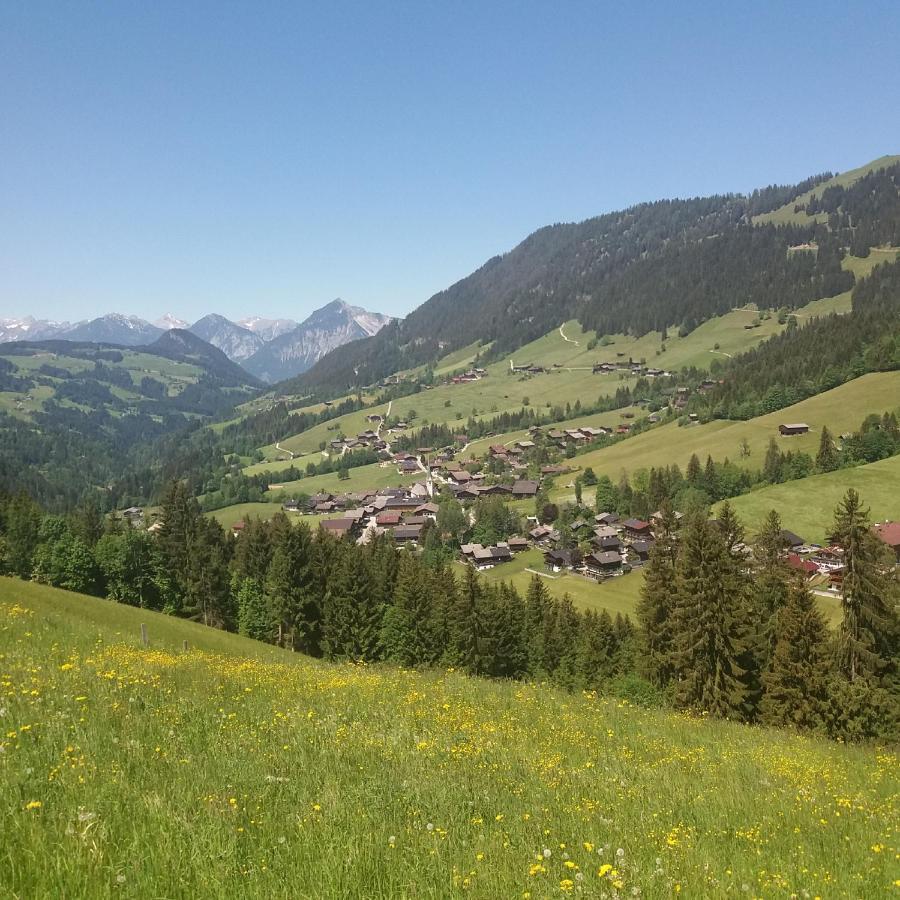 Haus Raimund " Klein Aber Fein " Lägenhet Alpbach Exteriör bild