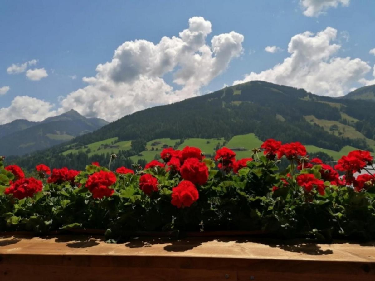 Haus Raimund " Klein Aber Fein " Lägenhet Alpbach Exteriör bild
