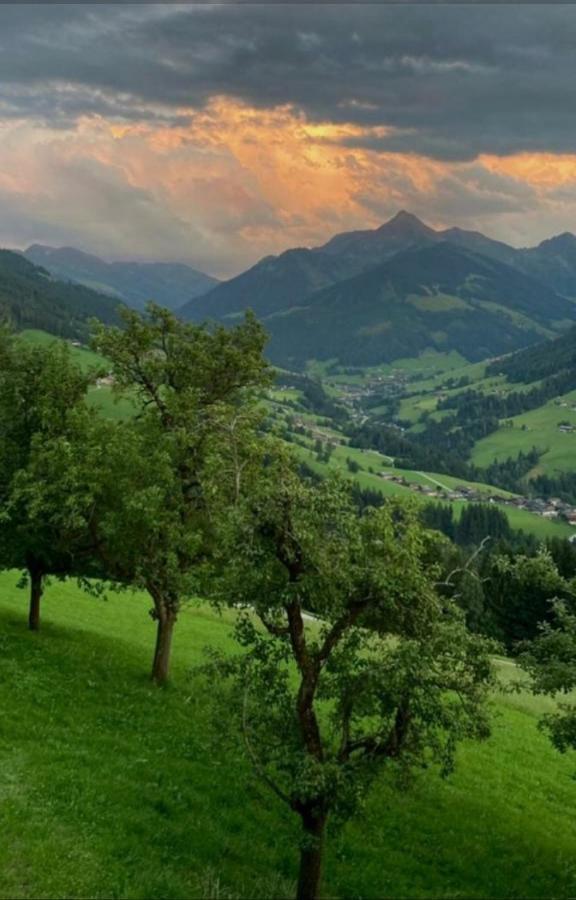 Haus Raimund " Klein Aber Fein " Lägenhet Alpbach Exteriör bild
