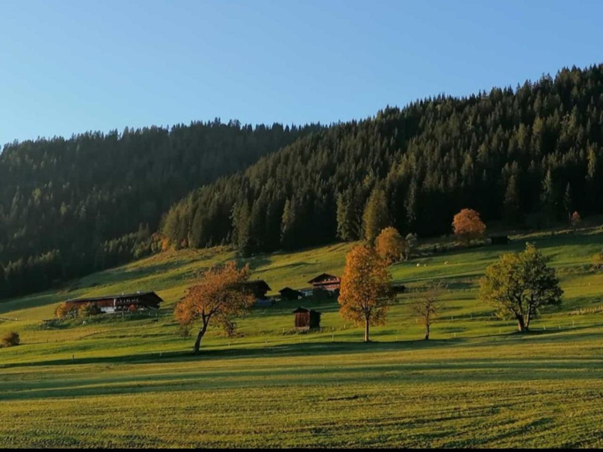 Haus Raimund " Klein Aber Fein " Lägenhet Alpbach Exteriör bild