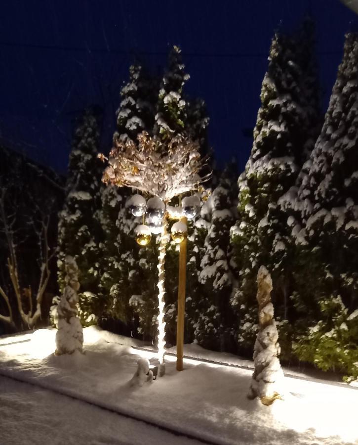 Haus Raimund " Klein Aber Fein " Lägenhet Alpbach Exteriör bild