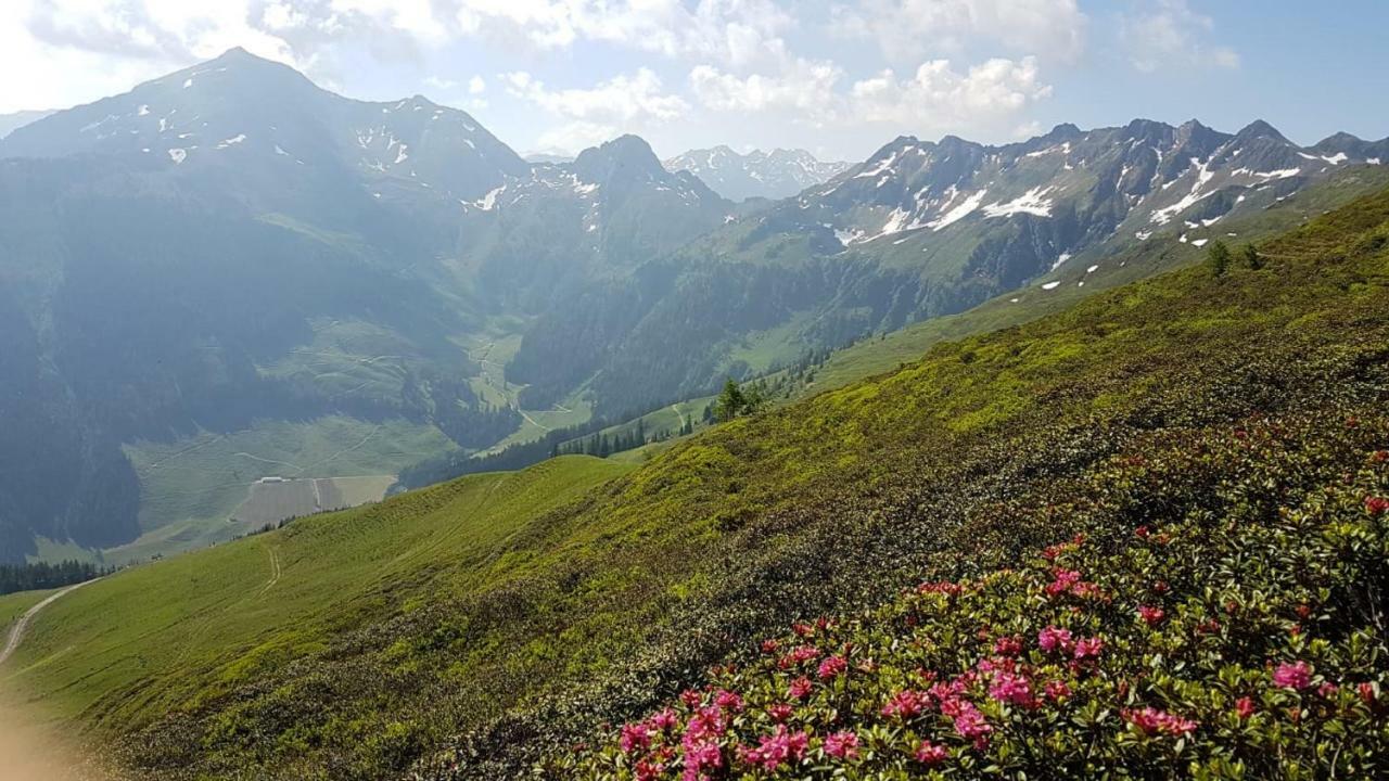 Haus Raimund " Klein Aber Fein " Lägenhet Alpbach Exteriör bild
